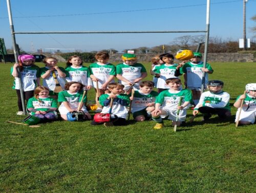 Secto Proud to Sponsor Confey GAA